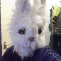 Spike McClarrity - white rabbit